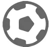 vetrotex_icon6.png