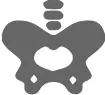 vetrotex_icon7.png